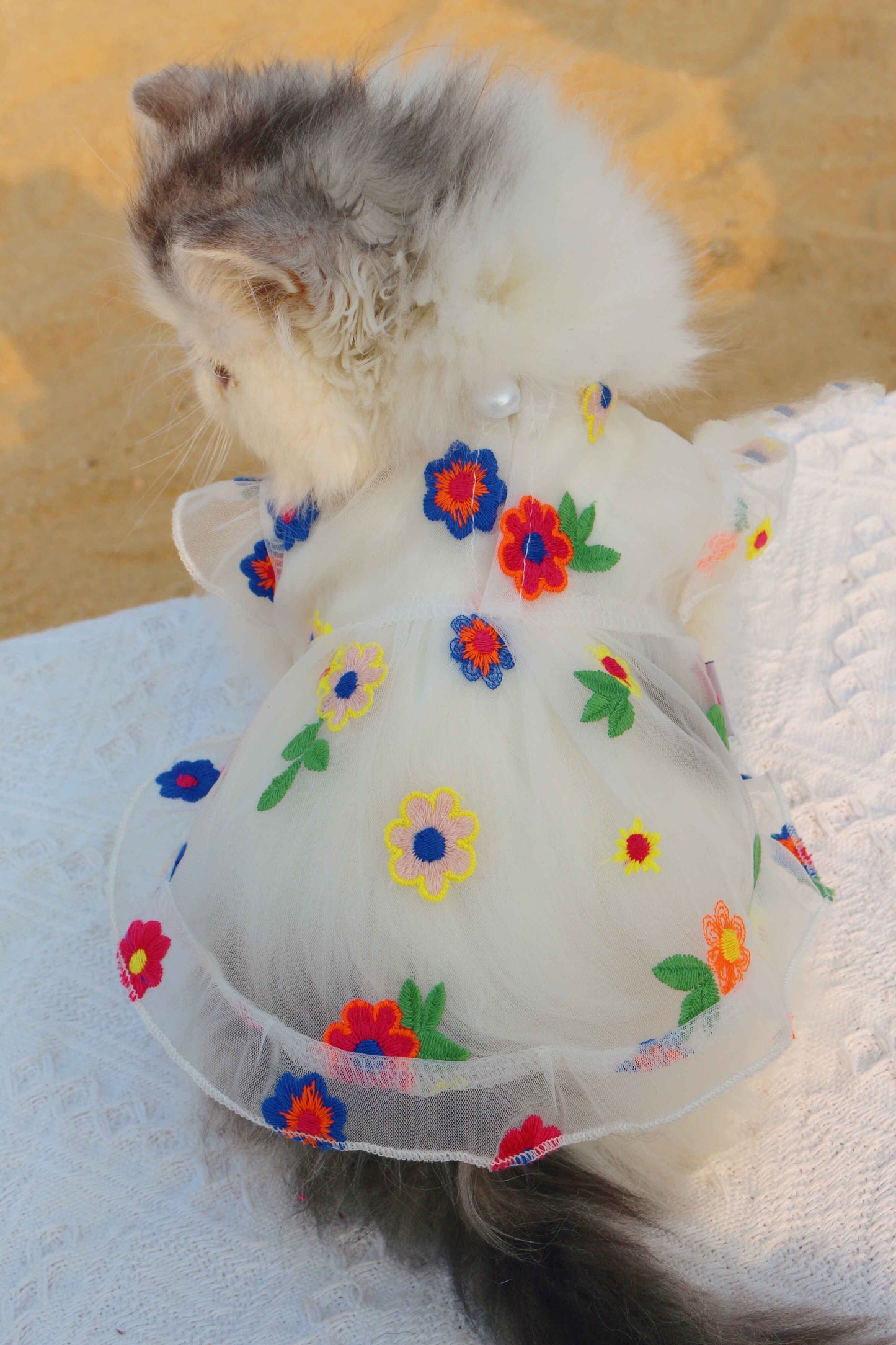 Mesh Flower Embroidery Dress Cat Clothes